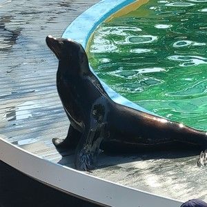 Meet your Posher, Jill